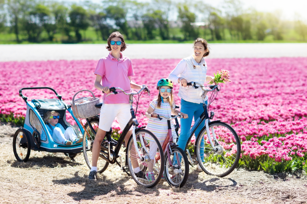 Happy Dutch family riding bicycle in tulip flower fields in Netherlands. Mother and kids on bikes at blooming tulips in Holland. Baby in bike trailer. Parents and children biking on sunny spring day.