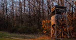 Wooden hunting box hide in the woods painted orange by the last rays of the sunset - the ideal place and light conditions for hunting is after sunset