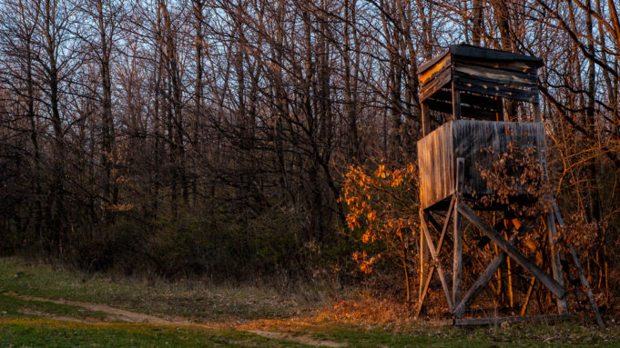 Wooden hunting box hide in the woods painted orange by the last rays of the sunset - the ideal place and light conditions for hunting is after sunset