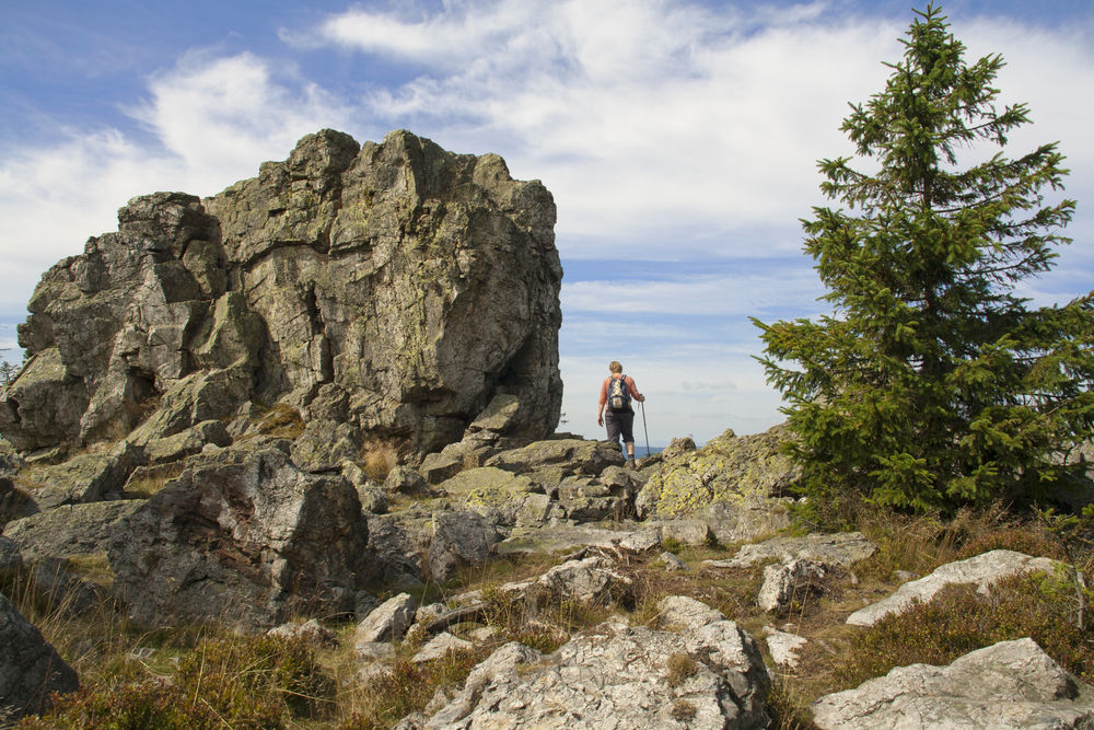 South view of Hanskühnenburg cliffs in the Harz Mountains in germany with hiker