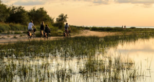 Group of people riding bicycles along baltic sea coast path , Jurmala, Latvia
