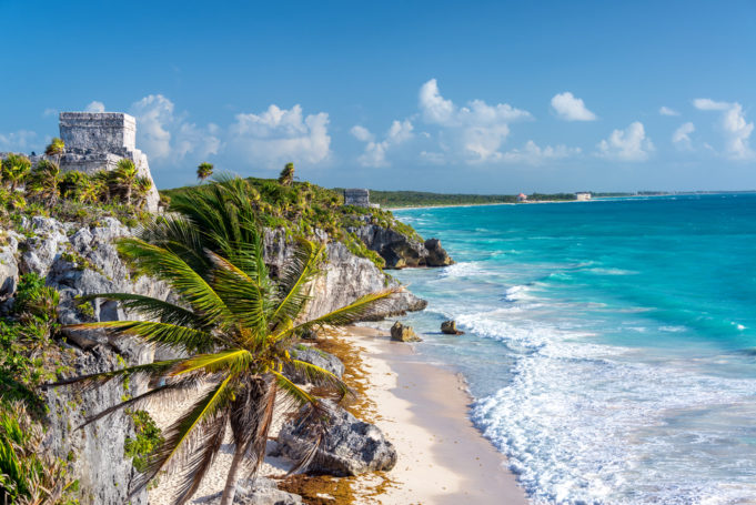 Lizenzfreie Stockfotonummer: 604913387 Ruins of Tulum, Mexico and a palm tree overlooking the Caribbean Sea in the Riviera Maya