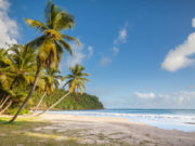 The Stunning Beach Of La Sagesse On The Island Of Grenada